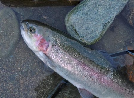 強風に苦戦 ～天竜川ルアーフライ専用区～